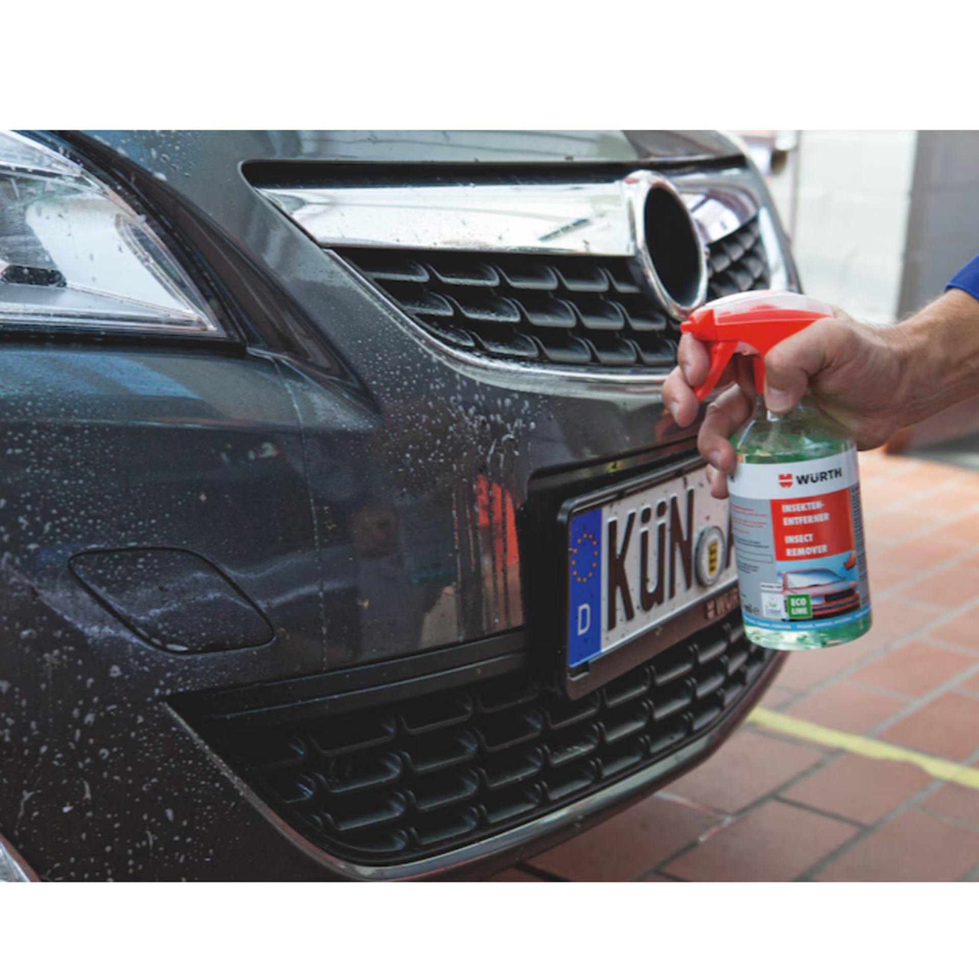 Würth Insekten-Entferner Spray 500 ml - ECOLINE