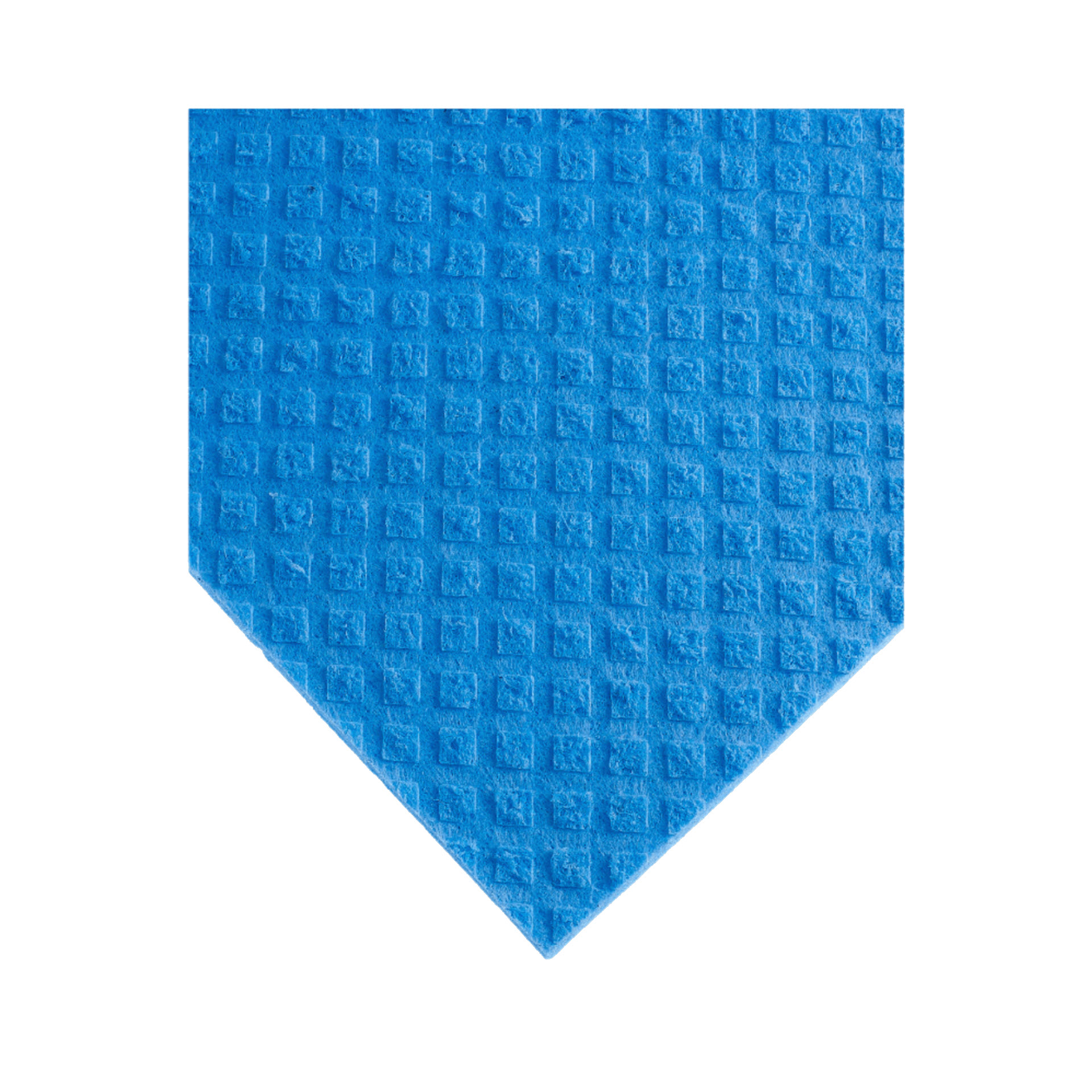 Floorstar Schwammtuch SPONGY – Größe 1 (18 x 20 cm), 10er-Pack - Blau